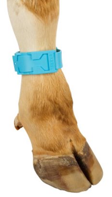 Opaska identyfikacyjna z tworzywa 37cm niebieska