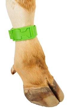 Opaska identyfikacyjna z tworzywa 37cm zielona